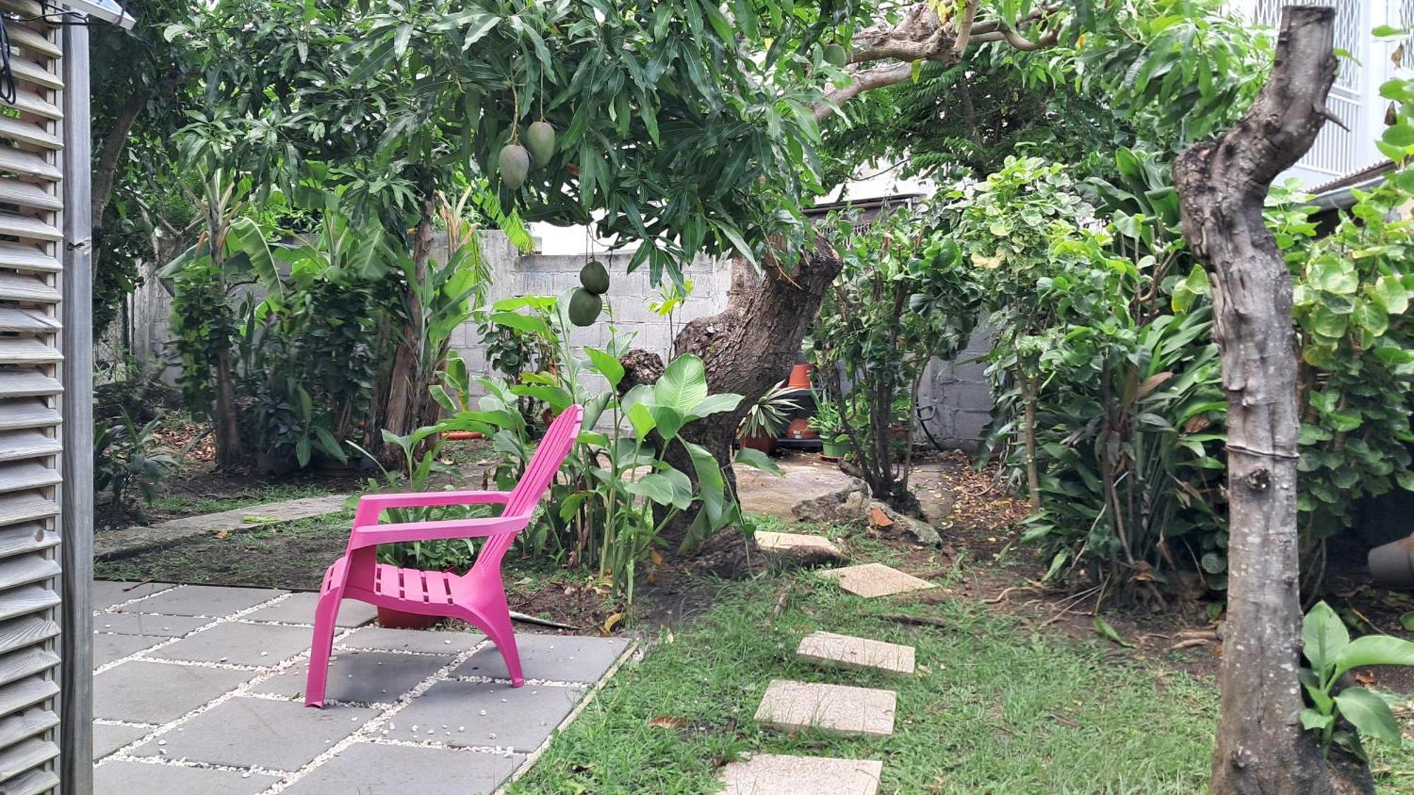 Agreable F2, Jardin, Garage, Fibre, Clim Ch Lejlighed Fort-de-France Eksteriør billede